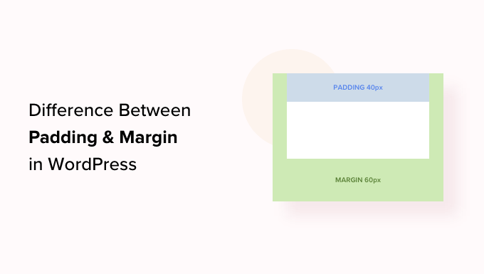 Padding vs Margin - What's the Difference in WordPress?