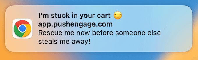 An example of an abadoned cart notification