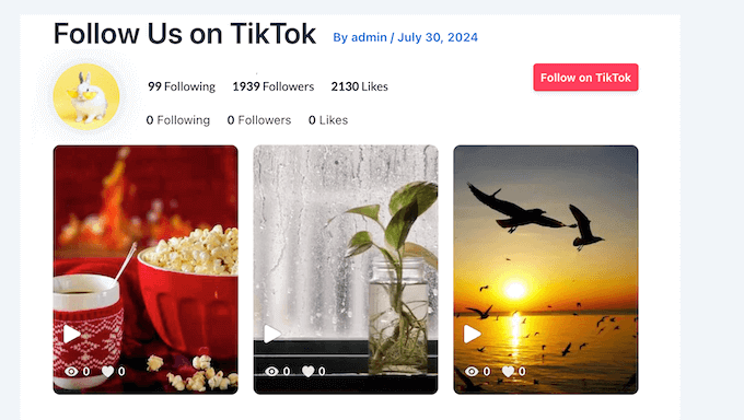 An example of a TikTok feed, embedded using Smash Balloon