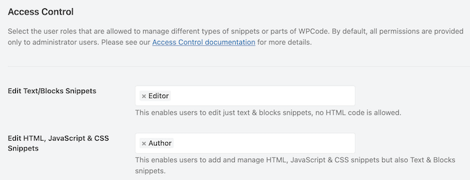 WPCode's access control settings
