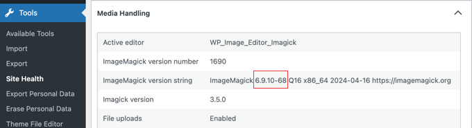 Viewing the ImageMagick Version in Site Health