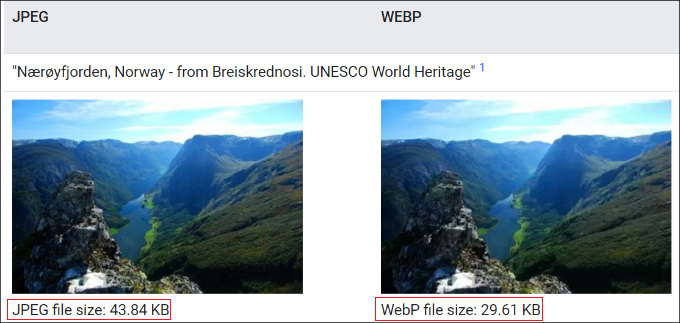 WebP vs. PNG vs. JPEG: The Best Image Format for WordPress - Z Square ...