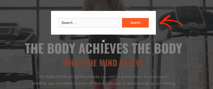 An example of a modal search form on a WordPress blog, website, or online store