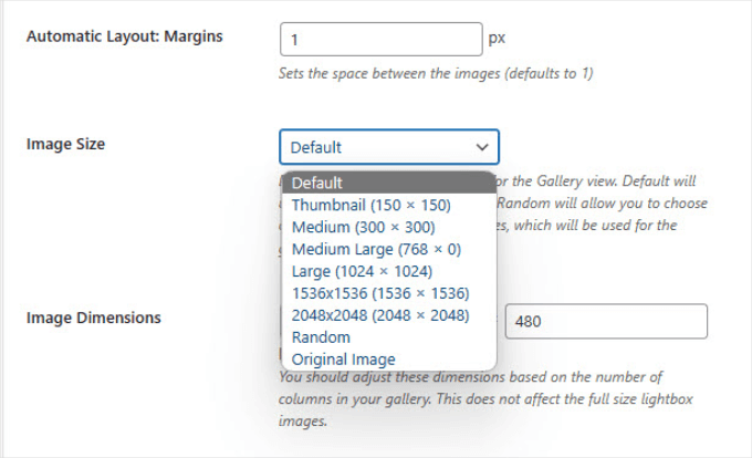 Image size in Envira Gallery