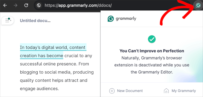 Grammarly Chrome extension