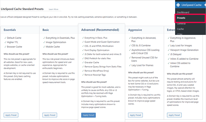 LiteSpeed Cache presets