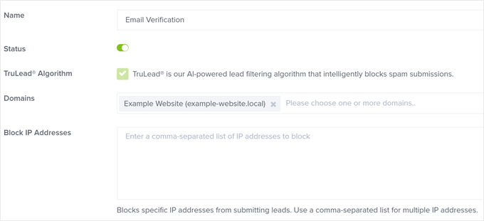 Configuring the email verification filter settings in OptinMonster