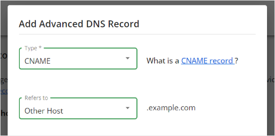 Choosing the DNS record type and refers to setting in Bluehost