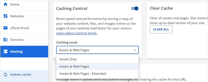 Bluehost's caching options