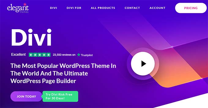 Divi website