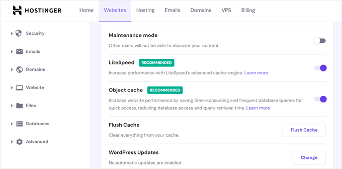 Hostinger's caching settings