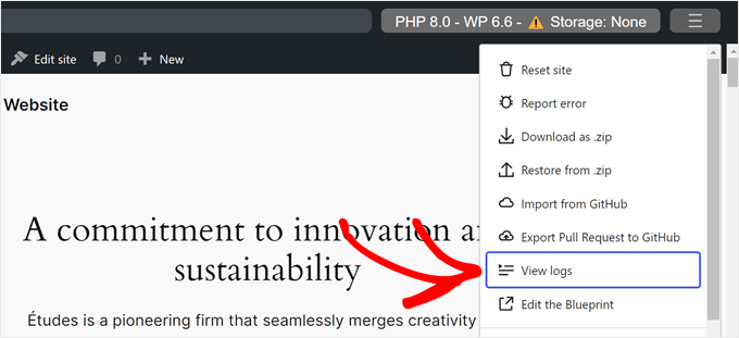 Clicking 'View Logs' in WordPress Playground