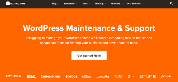 WPBeginner Pro Maintenance Services