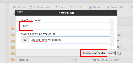Giving the new folder a name in Bluehost's file manager