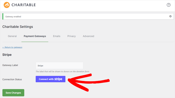 Connect with Stripe Charitable