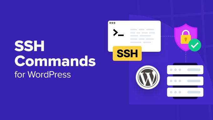 SSH commands every user should know