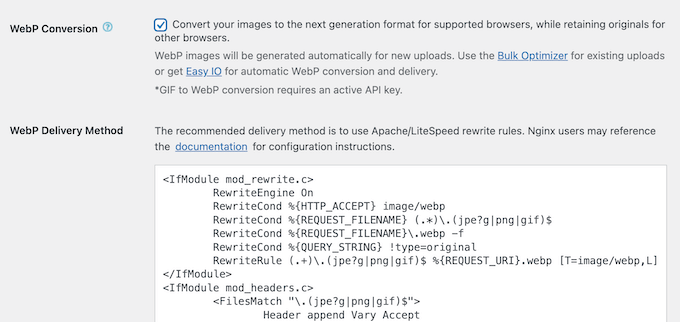 Converting images into WebP format 