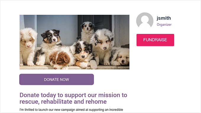 Click the Fundraise button