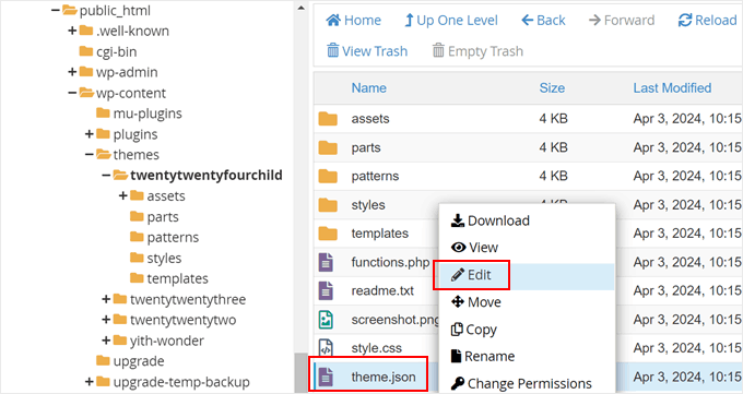 Editing a theme.json file manually with Bluehost file manager