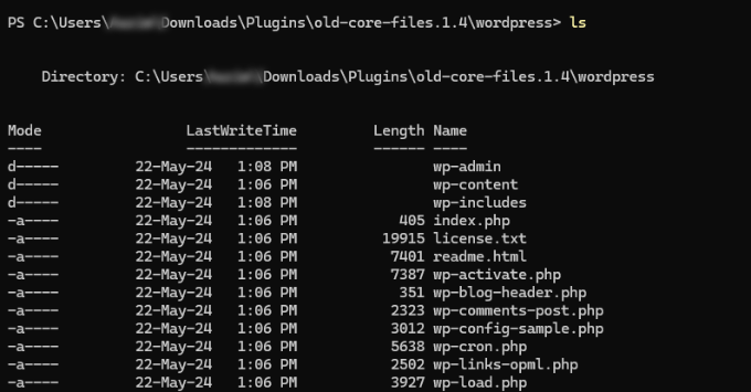 SSH ls command