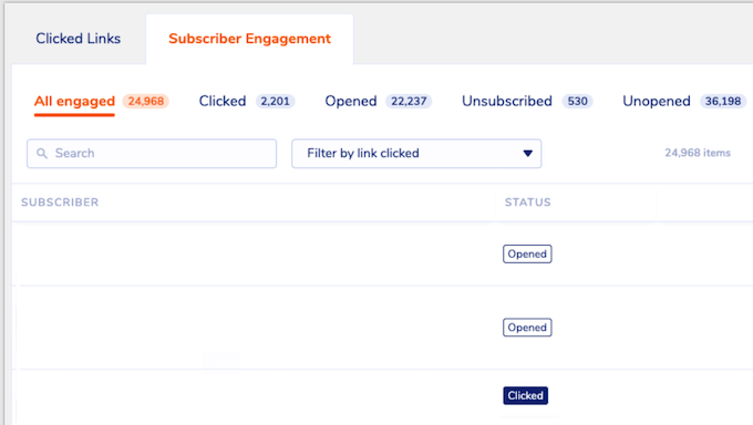 Monitoring the success of your email marketing campaigns in the WordPress dashboard