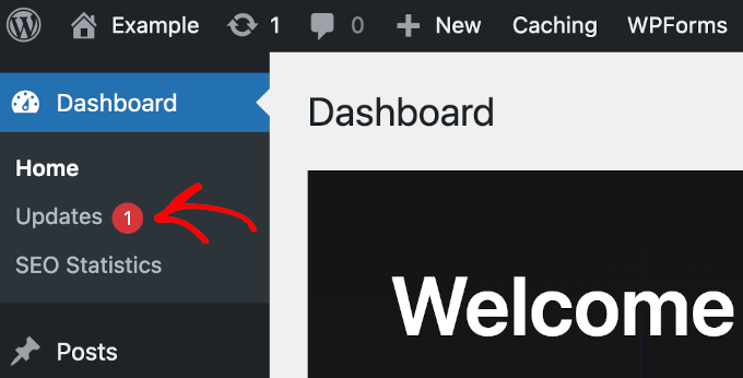 The Update button on WordPress' dashboard