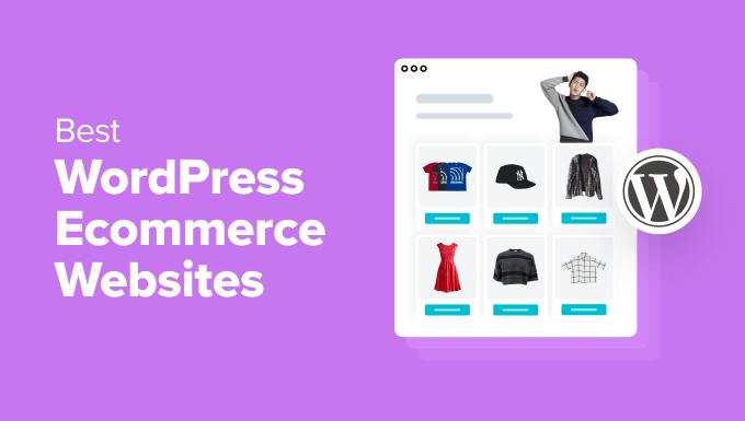 Best WordPress Ecommerce Website Examples