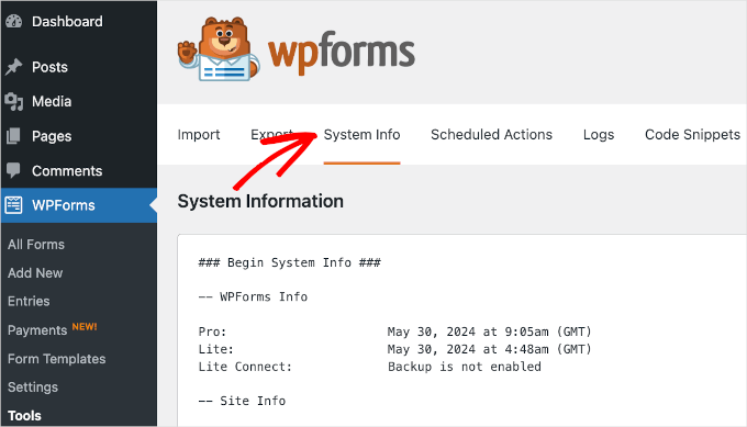 علامة التبويب "معلومات النظام" في WPForms