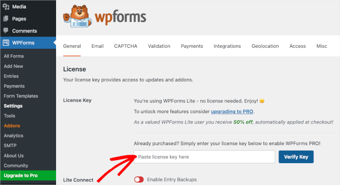 WPForms' license key field