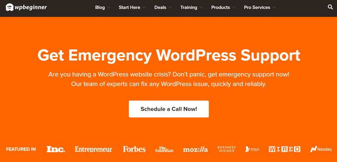 Emergency WordPress Support
