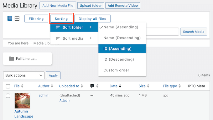 Sorting the files in your WordPress website