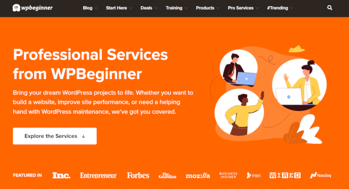 Professional WordPress Services by WPBeginner