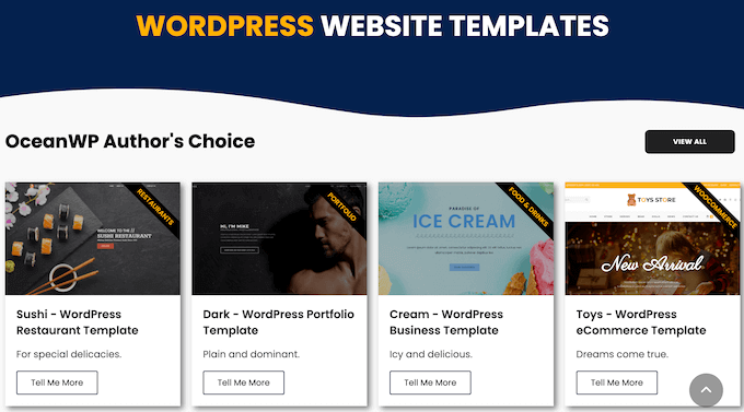 Choosing a professionally-designed website template