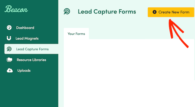 Creating a lead capture form