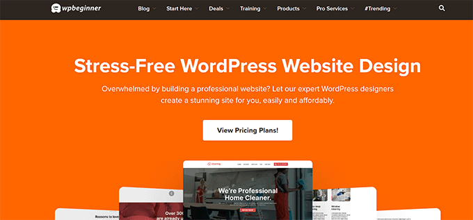 WPBeginner Website Design Services