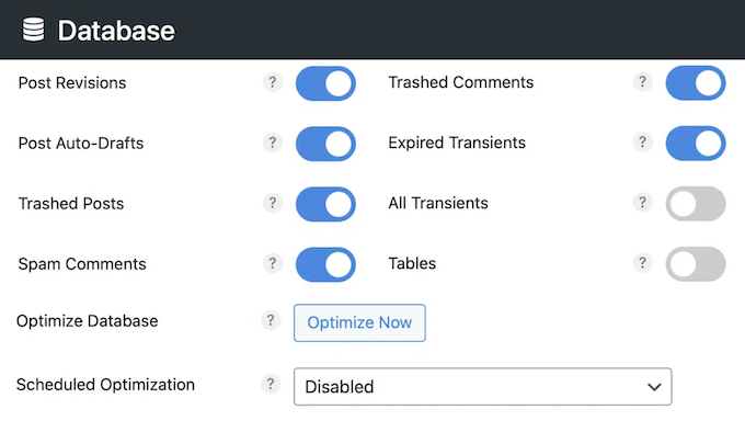 Optimizing your WordPress website's database