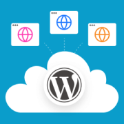 How to Backup WordPress Multisite