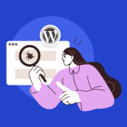 What is a WordPress Bug Bounty Program?