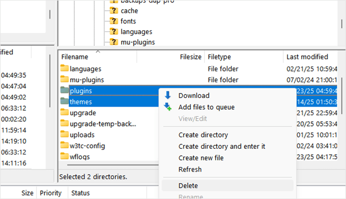 Delete plugins and themes folder