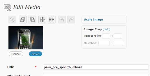 WordPress Image Editor